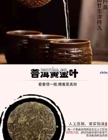 全面品鉴：闷泡普洱茶黄金叶的口感、香气与功效，看看是否合你的口味？