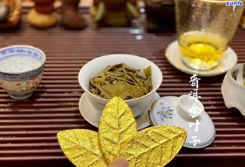 普洱茶中罕见的黄金叶品种，一斤价格解析与茶叶批发指南