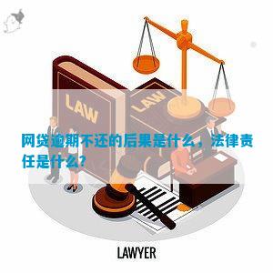 网贷逾期：法律后果及其对子女未来的影响探讨