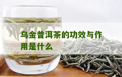 乌金普洱茶的全面功效与作用解析：改善健、调节消化等多方面应用