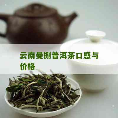 云南曼捌普洱茶：雨林古树口感价格解析，品鉴曼岗曼撤的魅力