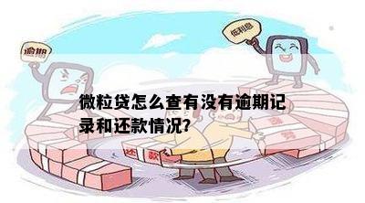 微粒贷的借还记录能删除吗：安全操作与查询方法