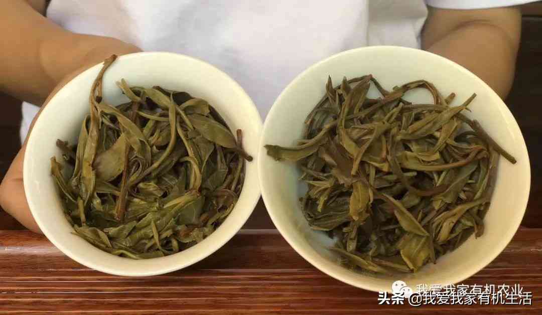 普洱茶饼硬怎么破？能喝吗？如何处理特别硬的普洱茶饼？