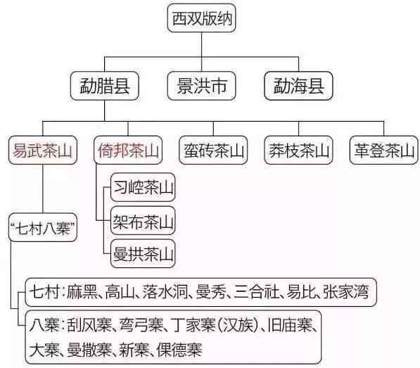 七大普洱茶特色是什么茶：名山、种类、口感，你了解吗？