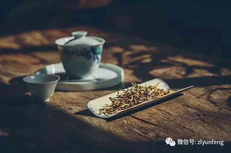 普洱茶泡水浇花可以吗