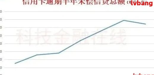 揭秘：中国信用卡逾期现象的年度统计分析