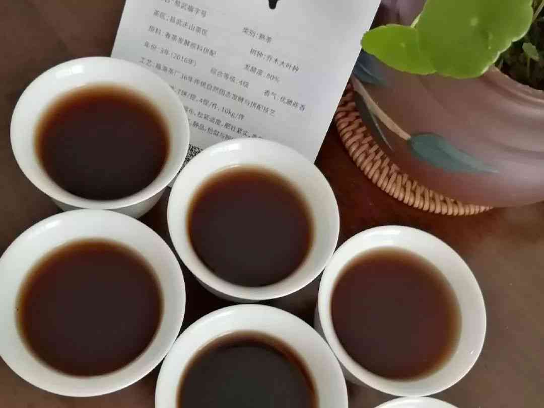 清早喝熟普洱茶的好处与坏处：一杯茶的健效益和潜在风险