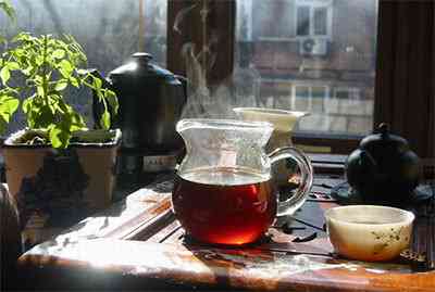 早晨空腹饮用熟普洱茶的好处与注意事项