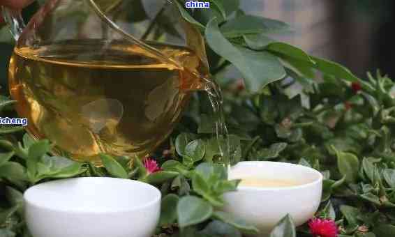 普洱茶水的多功能利用：除了浇花，还能做什么？