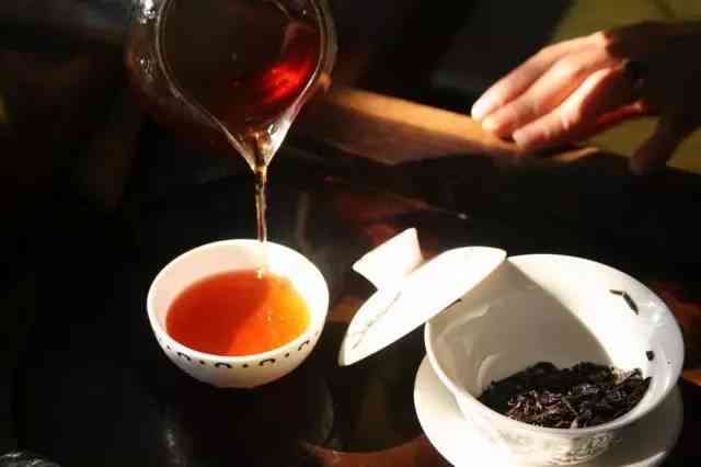 探究老挝古树普洱茶的魅力与风味：一不一样的品茶体验