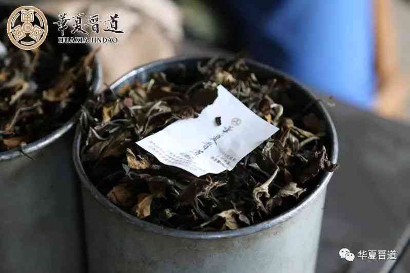 野白兔紫茶普洱茶：自然之选，健之源