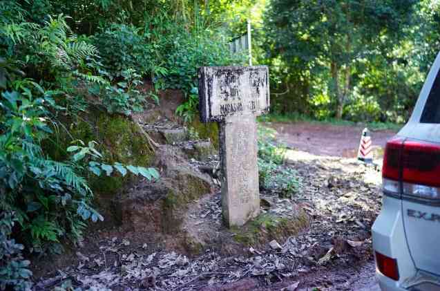 易武天门山高杆古树茶特点，价格和2020年报价：易武天门山高杆圆茶