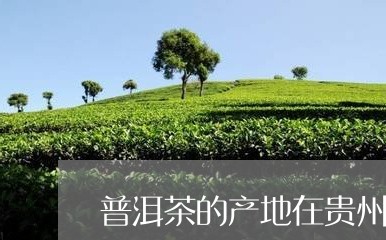 秀山县普洱茶产地