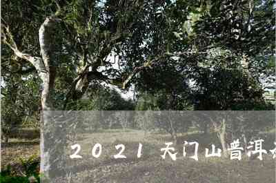 2021年最新天门山普洱茶价格表，阿里大数据揭示市场行情