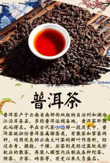 云南特产普洱茶的深度解析及相关茶知识一览