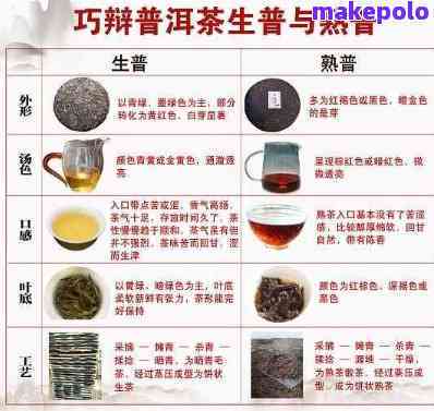 云南特产普洱茶的深度解析及相关茶知识一览