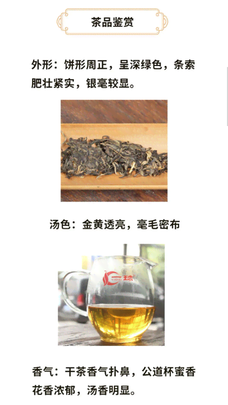 普洱生茶知名厂家：寻找优质茶叶与推荐的全方位指南