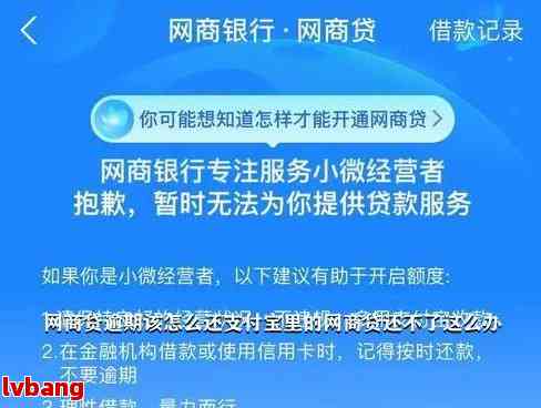 网商贷逾期两天就不能用了