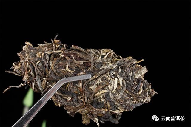 如何鉴别普洱茶发霉？了解这五个关键步骤，轻松避免购买到受潮茶叶！