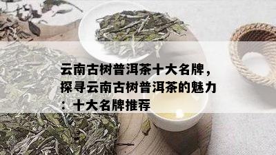 云南古树普洱茶名牌茶厂：十大排行榜与深入解析