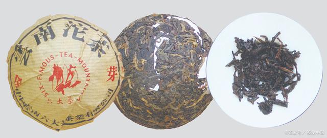 龙腾号普洱茶-价格，官网，生熟对比