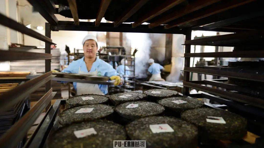 勐海普洱茶加工定制厂：从原料选择到茶叶品质保证，一站式解决方案