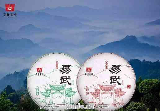 易武古茶香韵2013:普洱茶文化与品质之旅
