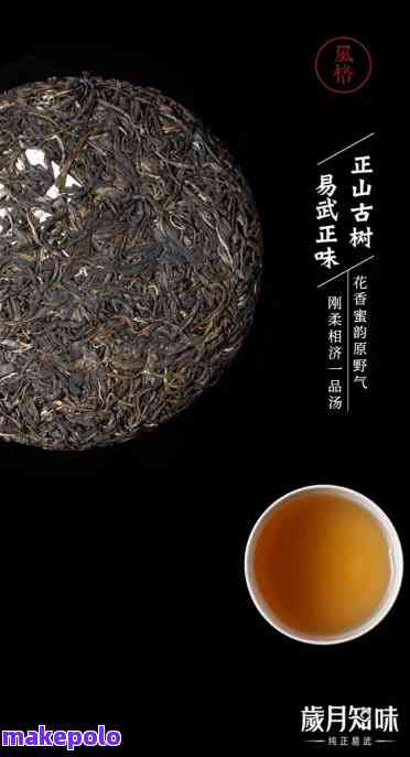 易武古茶香韵2013:普洱茶文化与品质之旅