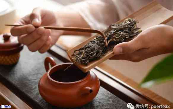 普洱茶熟茶醒茶全攻略：从泡法到保存，让你轻松掌握普洱茶的品鉴之道