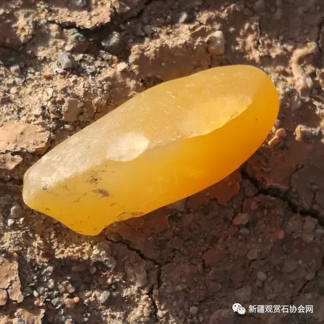 新疆沙漠玉石漆金丝玉品鉴及收藏价值分析