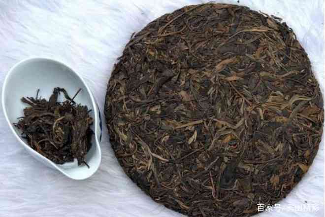 四大普洱茶厂深度对比：谁才是普洱茶领域的佼佼者？