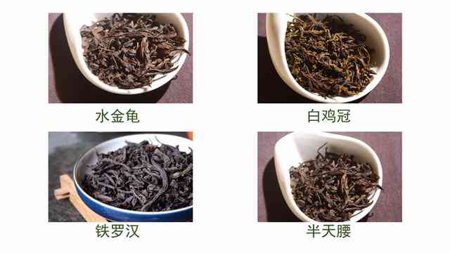 四大普洱茶厂深度对比：谁才是普洱茶领域的佼佼者？