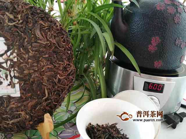 中茶鼠年生肖茶普洱茶