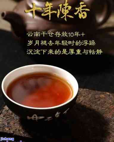 大马陈年普洱茶：时间的艺术，品味的升华