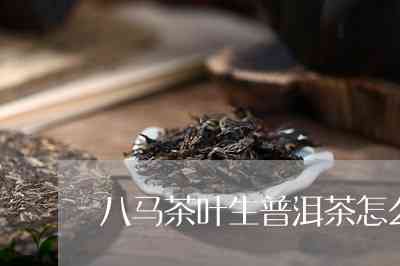 八马茶叶云南普洱茶生茶：品鉴与购买攻略