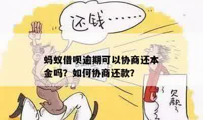 逾期还款后，借呗是否可以仅还本金并协商处理？