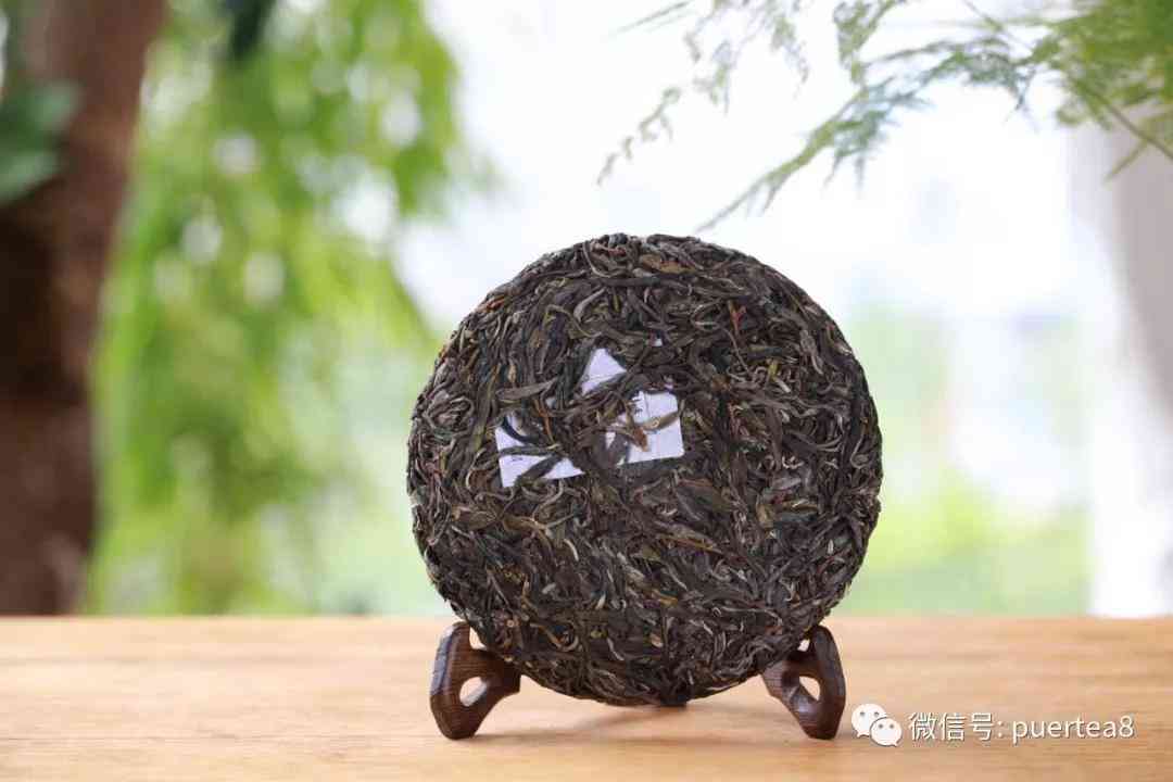 云南凤庆茶区：古树普洱茶的独特口感与特点探究