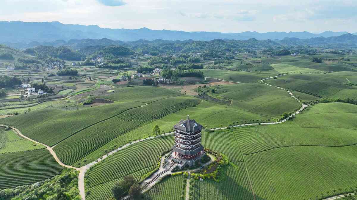 翡翠手镯：圆圈款式与扁型款式的优缺点比较，选购技巧与注意事项全解析