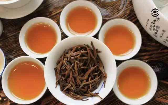 云南凤庆县特色红茶：品味地道的滇红茶文化