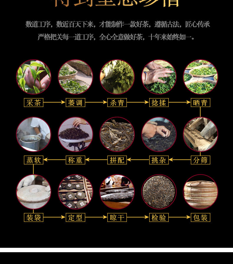 勐海古树普洱茶春茶价格与品质对比分析