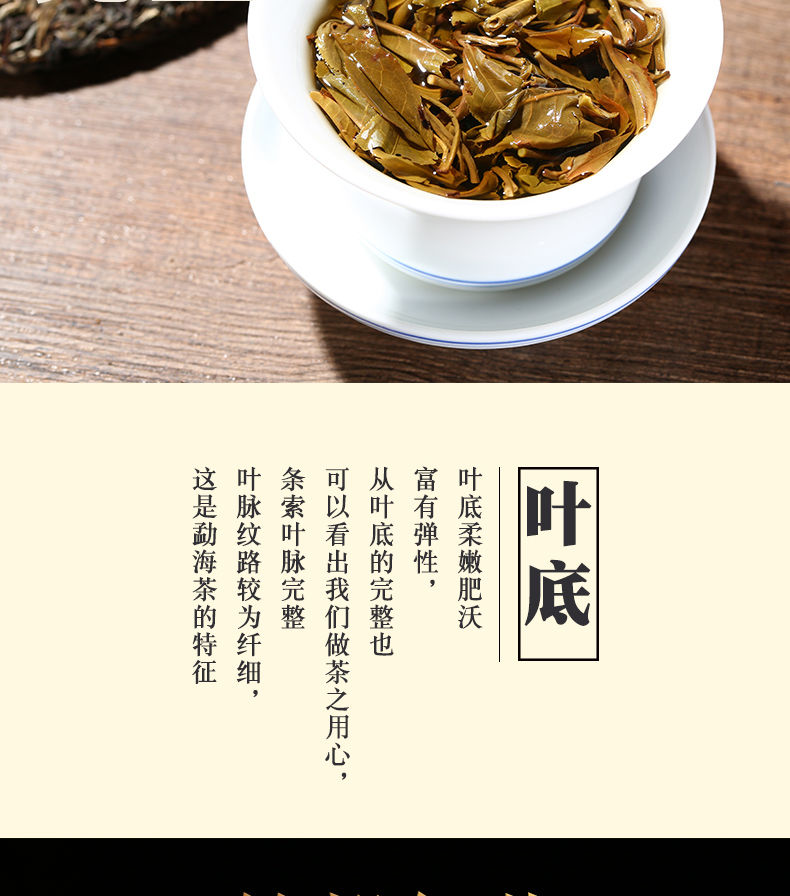 勐海古树普洱茶春茶价格与品质对比分析