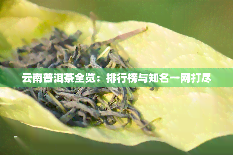 云南普洱茶一览：全面了解当地知名及优质普洱茶，助您轻松选茶