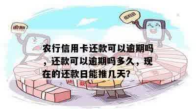 农行信用卡还款期限内是否算逾期，三天还款是否合法？