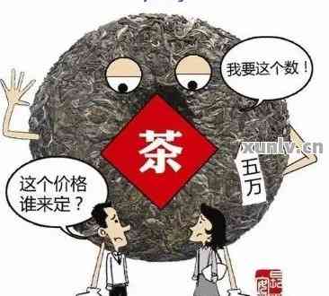 2019年普洱茶行业真相大揭秘：一场误导消费者的骗局全程解析