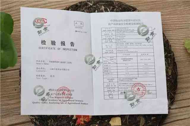 云南普洱茶十大茶厂排名一览表：全方位指南助您挑选高品质茶叶