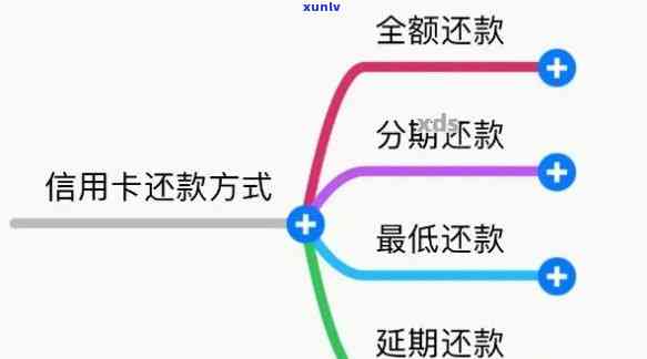 逾期还款对信用卡额度的影响及应对策略