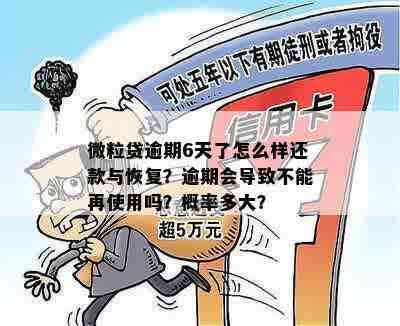 微粒贷逾期6天了怎么样才能恢复还款：解决方法与影响分析