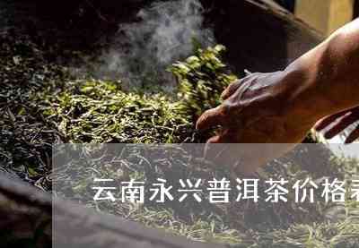 云南永兴祥普洱茶价格-云南永兴祥号普洱茶