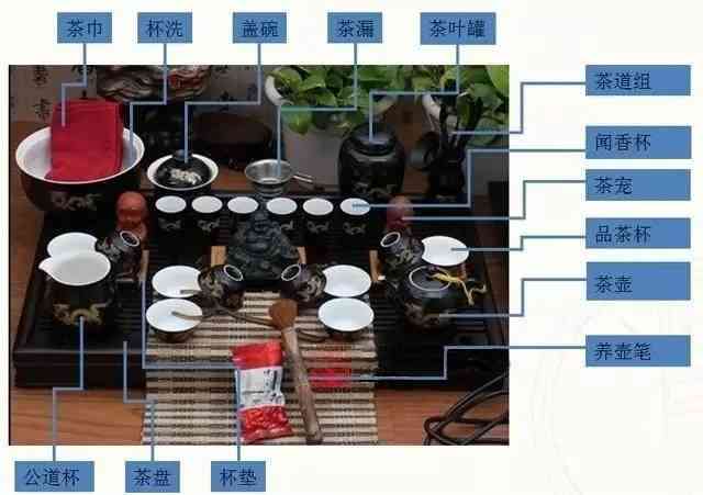 选择器具品鉴普洱茶：壶、杯的种类与选购指南