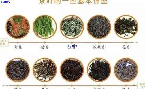 王     茶品价格表：详细茶叶种类与价格一览，助您轻松挑选心仪茶叶